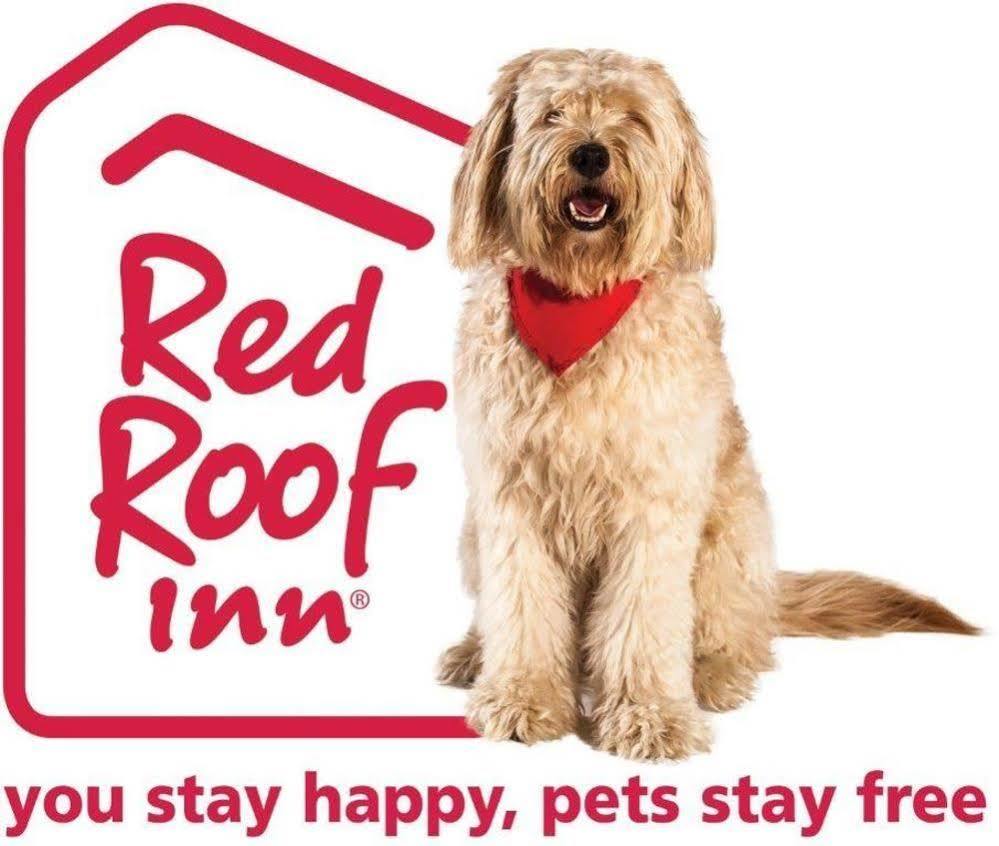 Red Roof Inn Portland Exterior foto